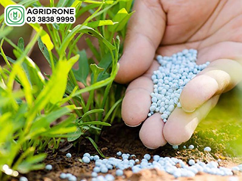 Hướng dẫn cách bón phân NPK 20 20 15 đúng kỹ thuật cho cây